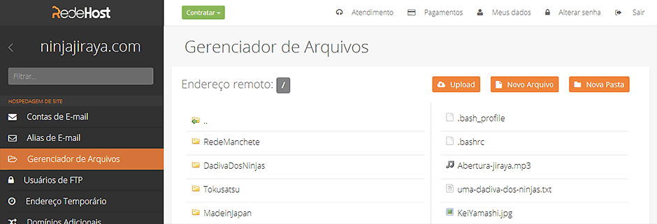 Painel de Controle RedeHost Gerenciador de arquivos